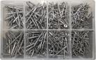 Assorted Stainless Steel Rivets (500)